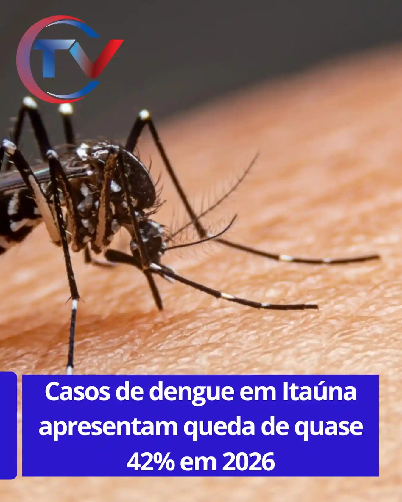 Dengue em Itaúna: Redução de Casos e Alerta de Proliferação