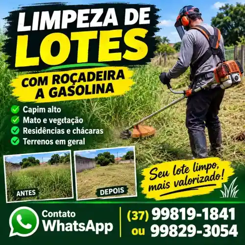 Limpeza de Lotes