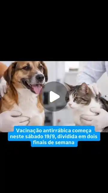 Campanha de vacinação antirrábica para cães e gatos