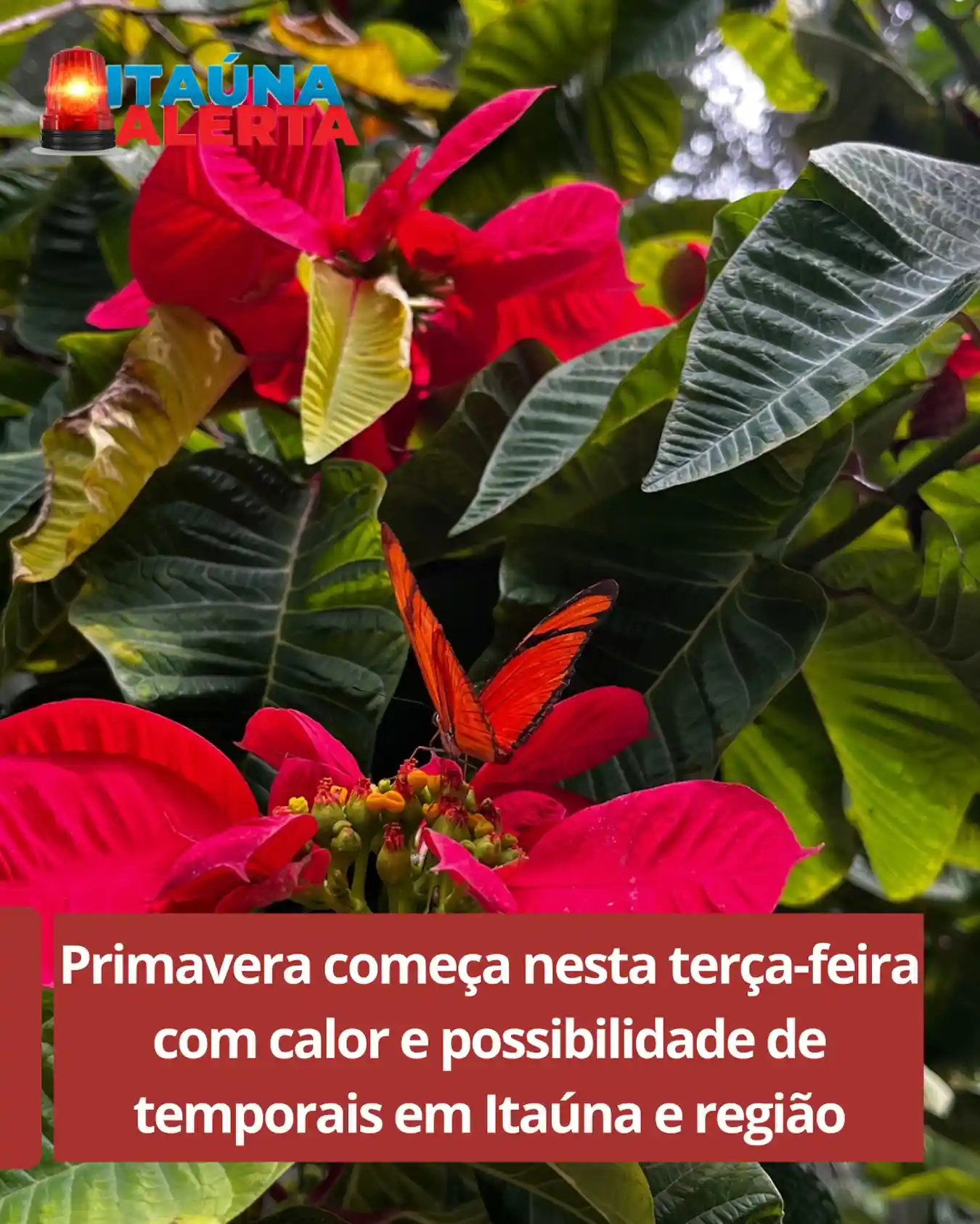 Primavera chega com calor e risco de tempestade