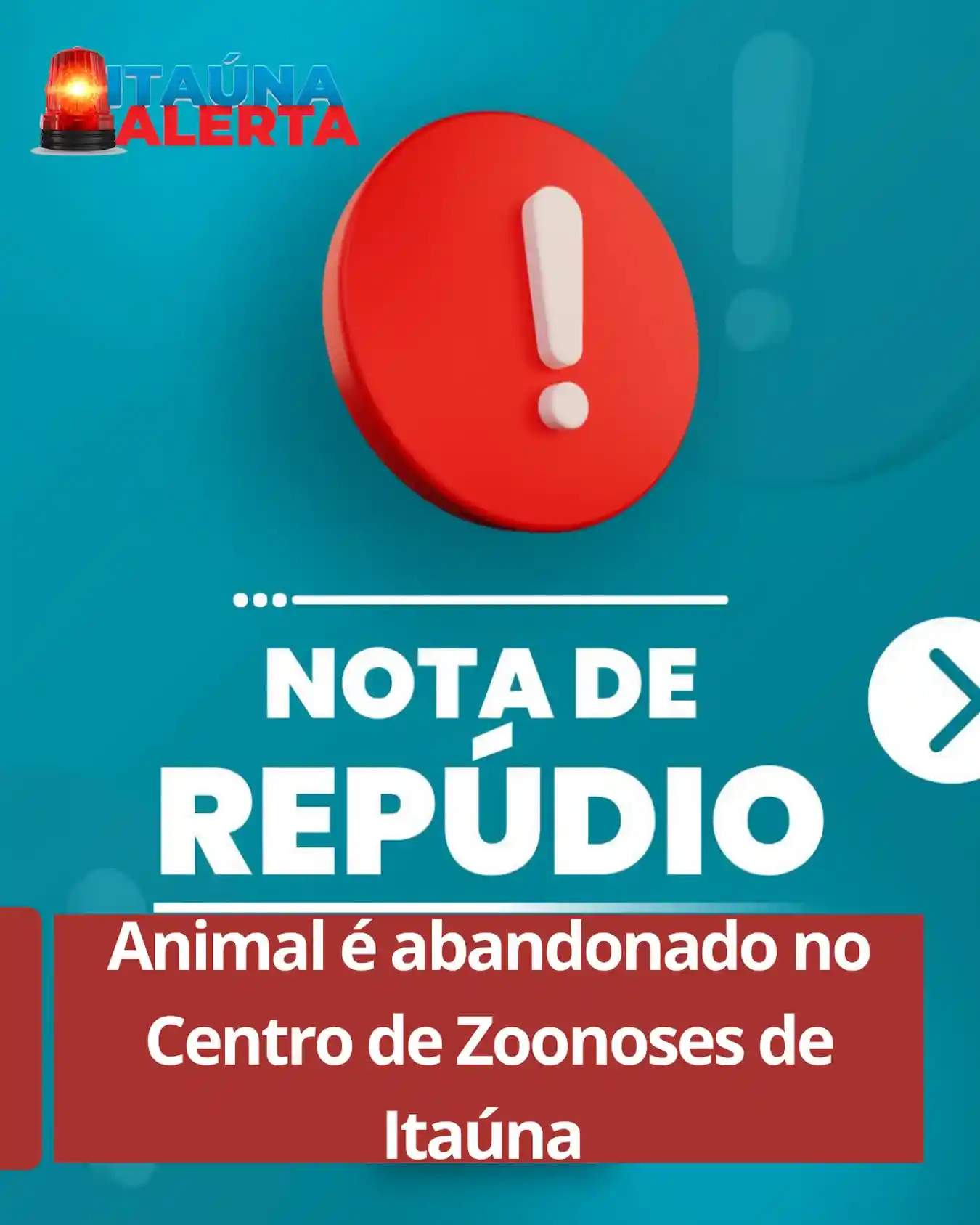 Cão idoso é abandonado no CCZ e Prefeitura repudia o caso