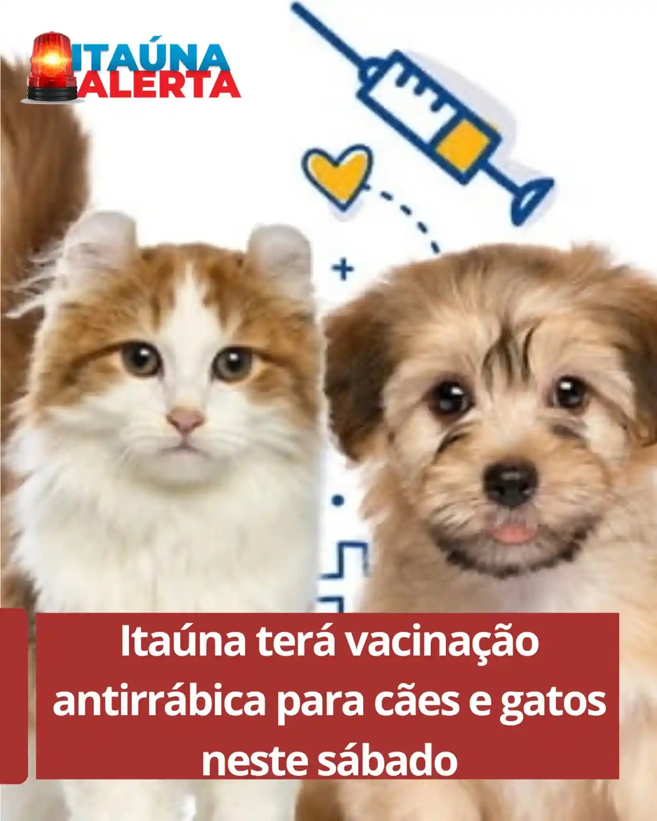 Campanha de vacinação antirrábica neste sábado (26)