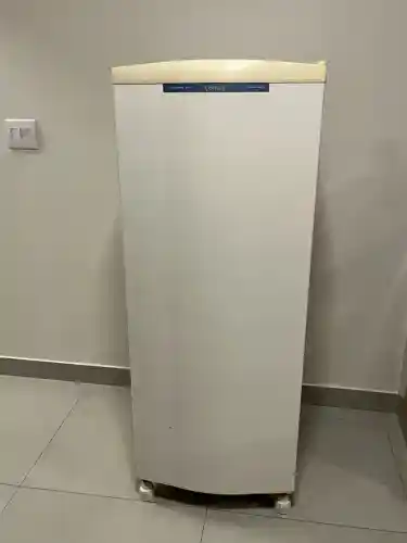 Geladeira Consul 300l degelo seco