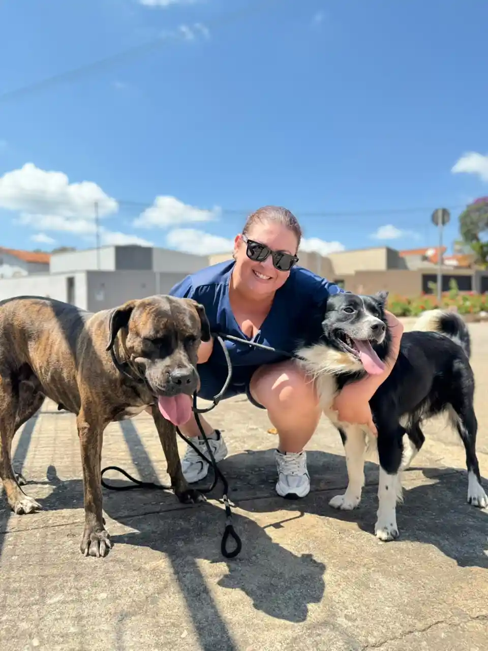 Campanha antirrábica vacina mais de 12 mil animais contra a raiva em Itaúna