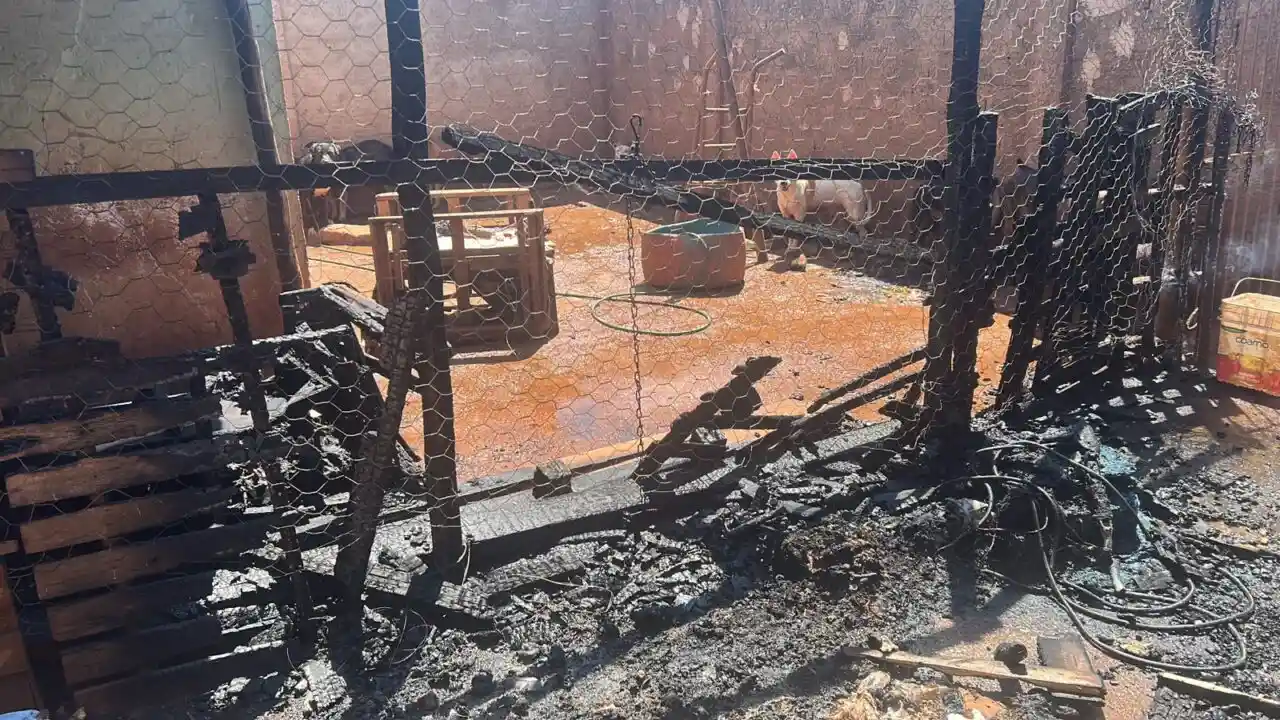 Incêndio atinge imóvel usado como canil e mulher passa mal
