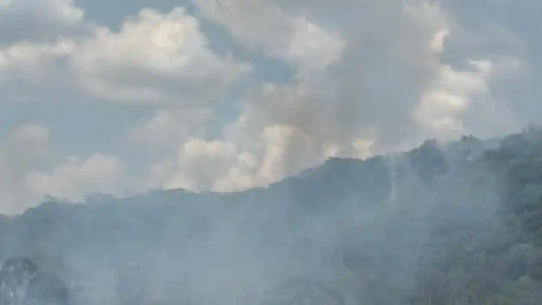 VÍDEO: Incêndio destrói área equivalente a 42 campos de futebol e ameaça casas em MG