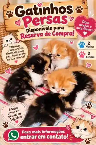 Reserva de vendas para Gatos Persas