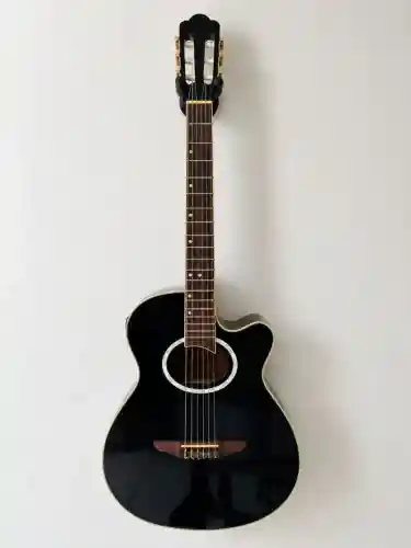 VIOLÃO TAGIMA
