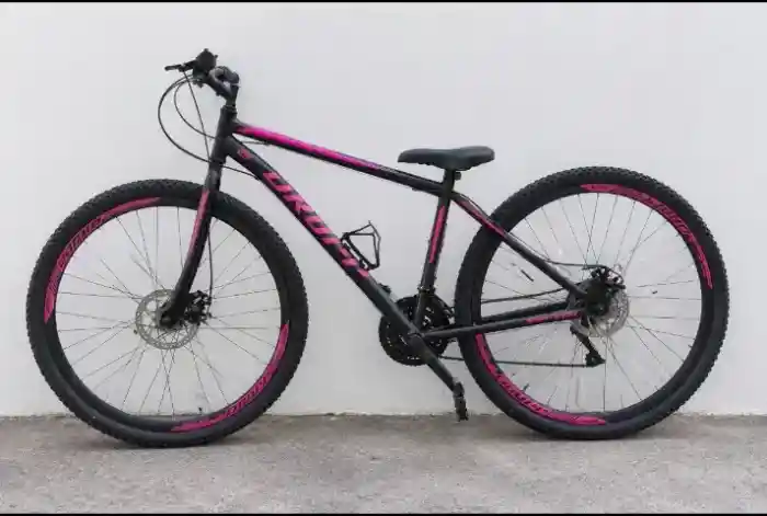 Bicicleta dropp aro 29