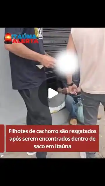 Seis filhotes de cachorro são resgatados em Itaúna