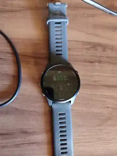 Relógio Garmin 255