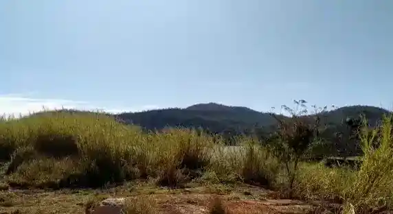 Chácara à Venda na Barragem do Benfica — 2200 m²