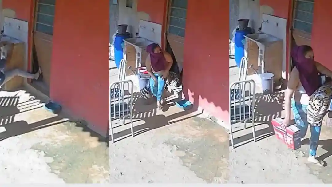 Câmeras flagram casal invadindo sítio e furtando objetos em MG