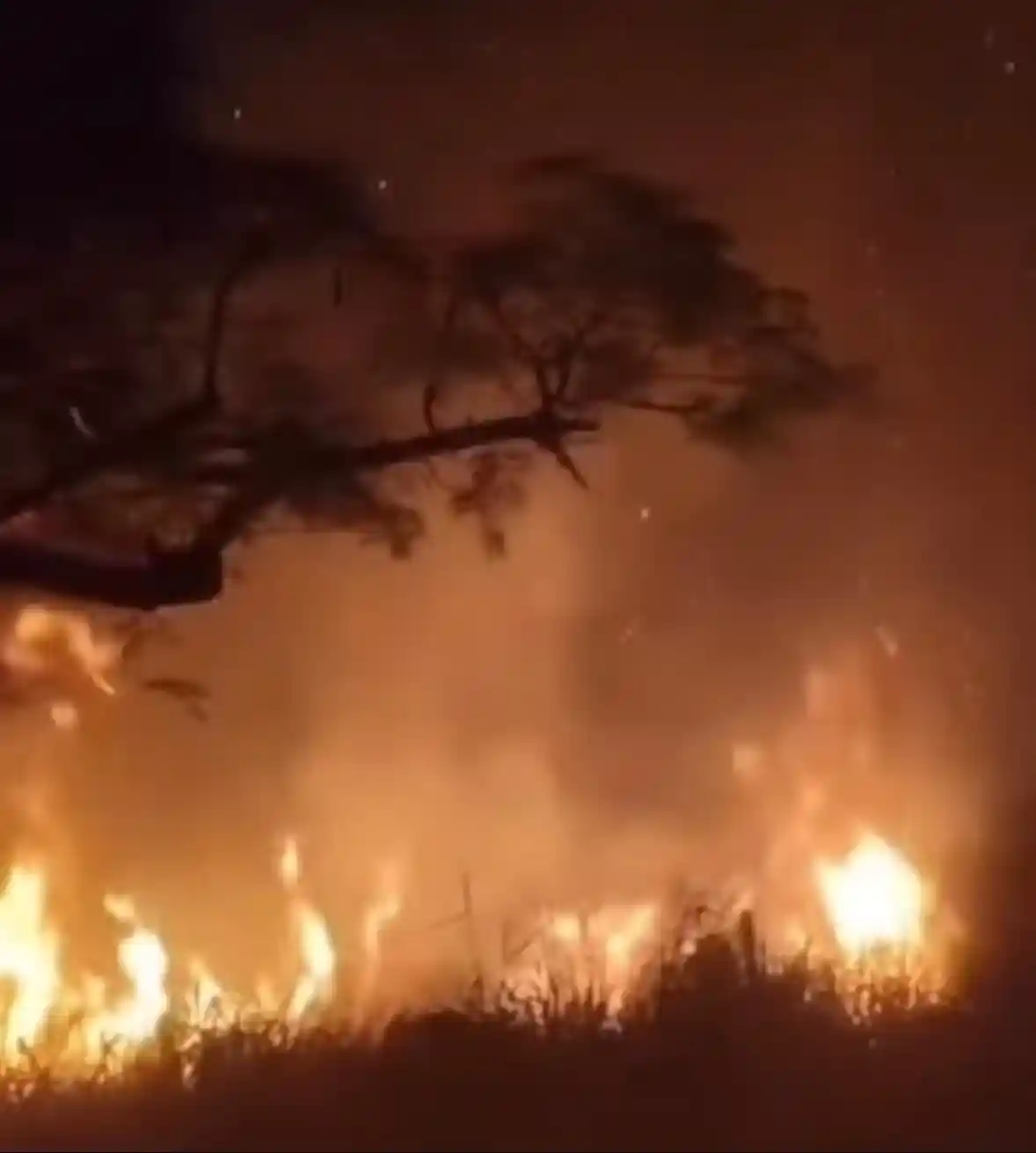 Incêndio atinge área de mata no Bairro Universitário