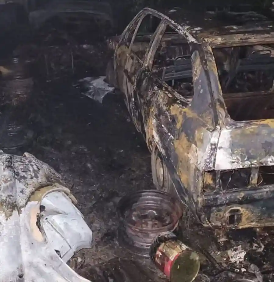 Incêndio em vegetação se espalha e atinge oficina mecânica