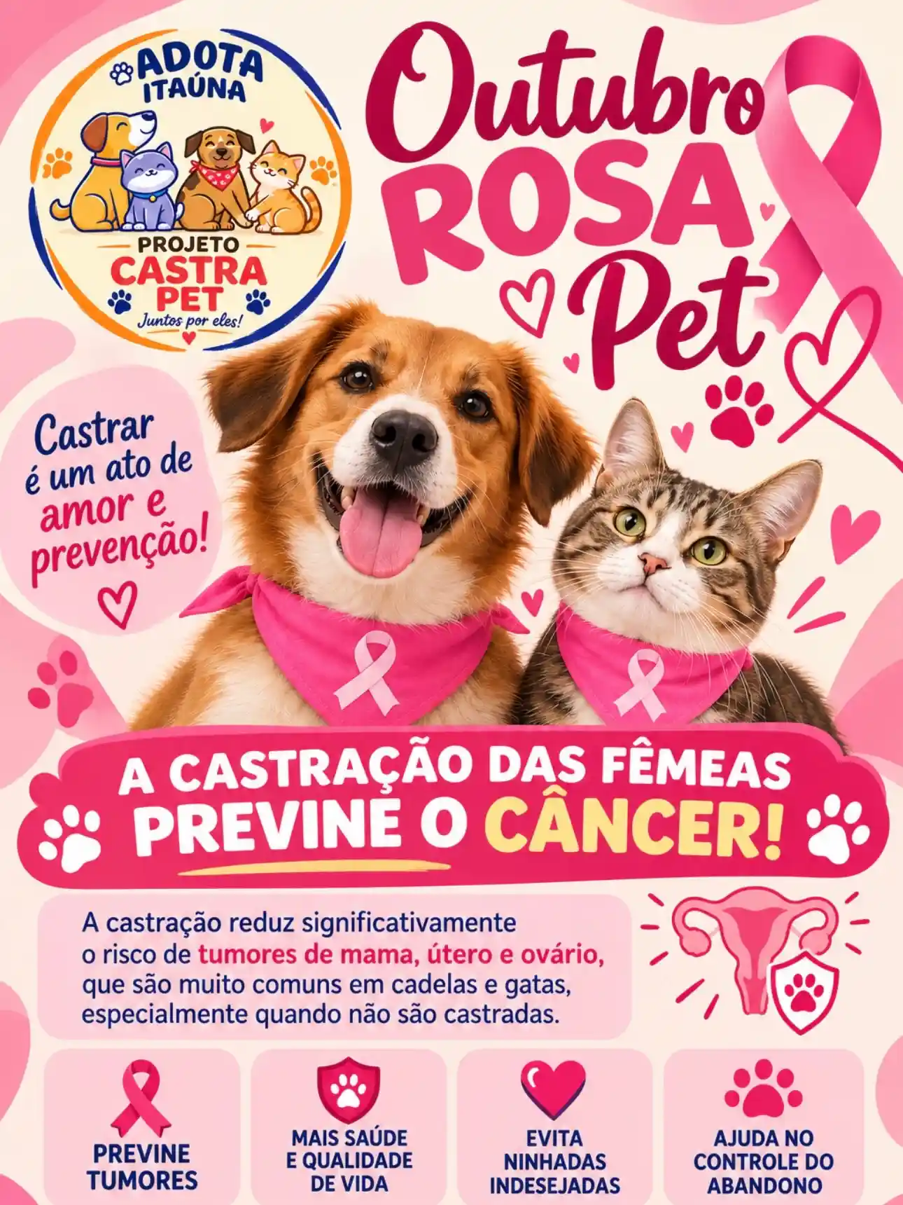 Outubro Rosa Pet: castração previne doenças em cadelas e gatas