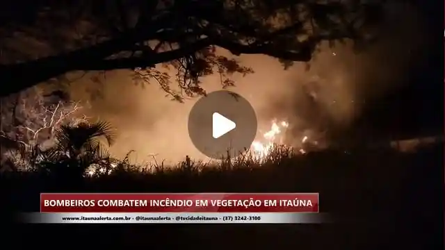 Bombeiros combatem incêndio em área de vegetação