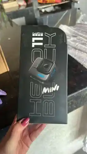 Go pro 11 mini