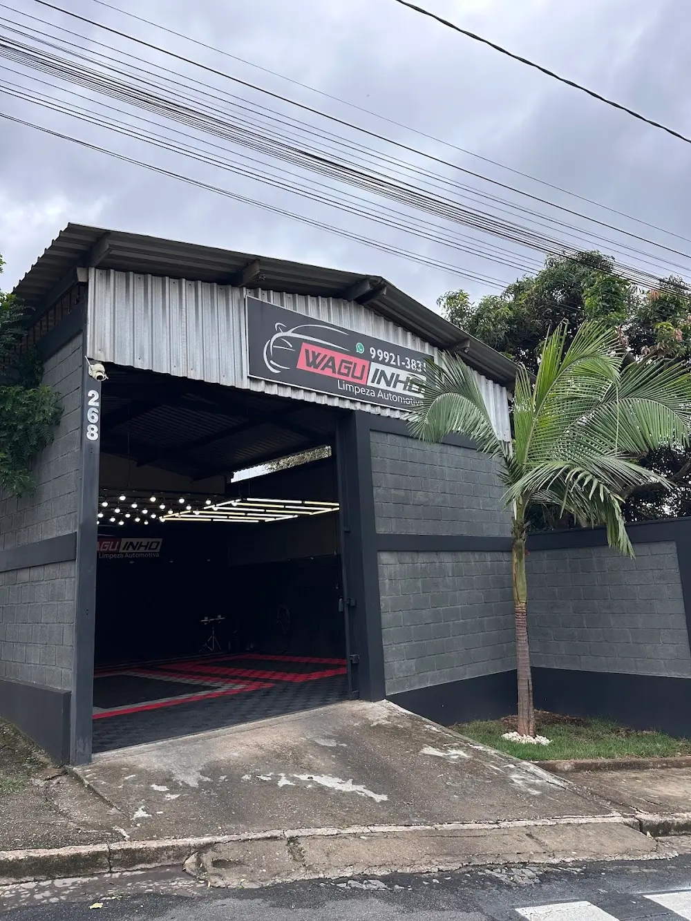 WAGUINHO Limpeza Automotiva