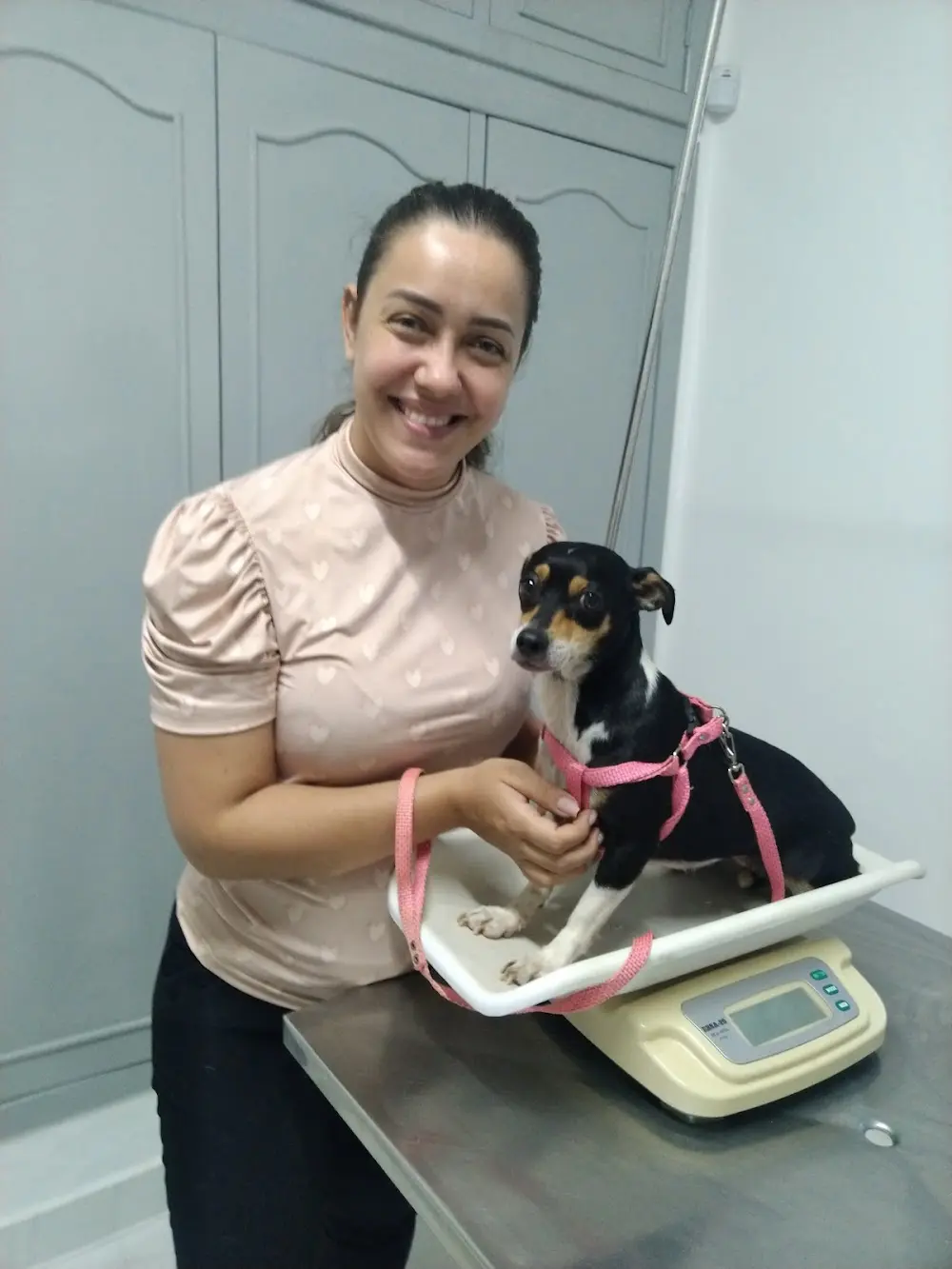 Uniclinica clinica veterinária
