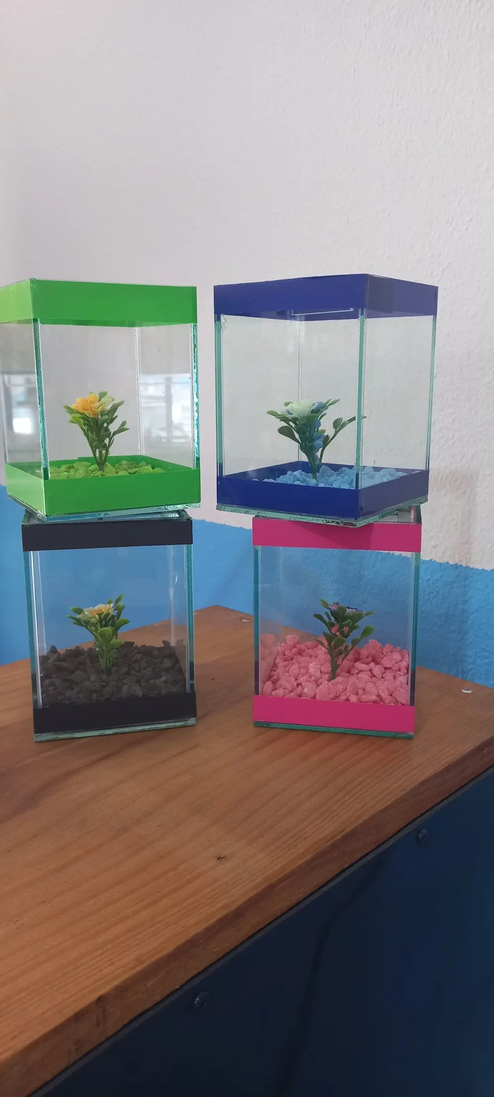Rural Pet aquarismo .Peixes ,plantas vivas e artificiais.