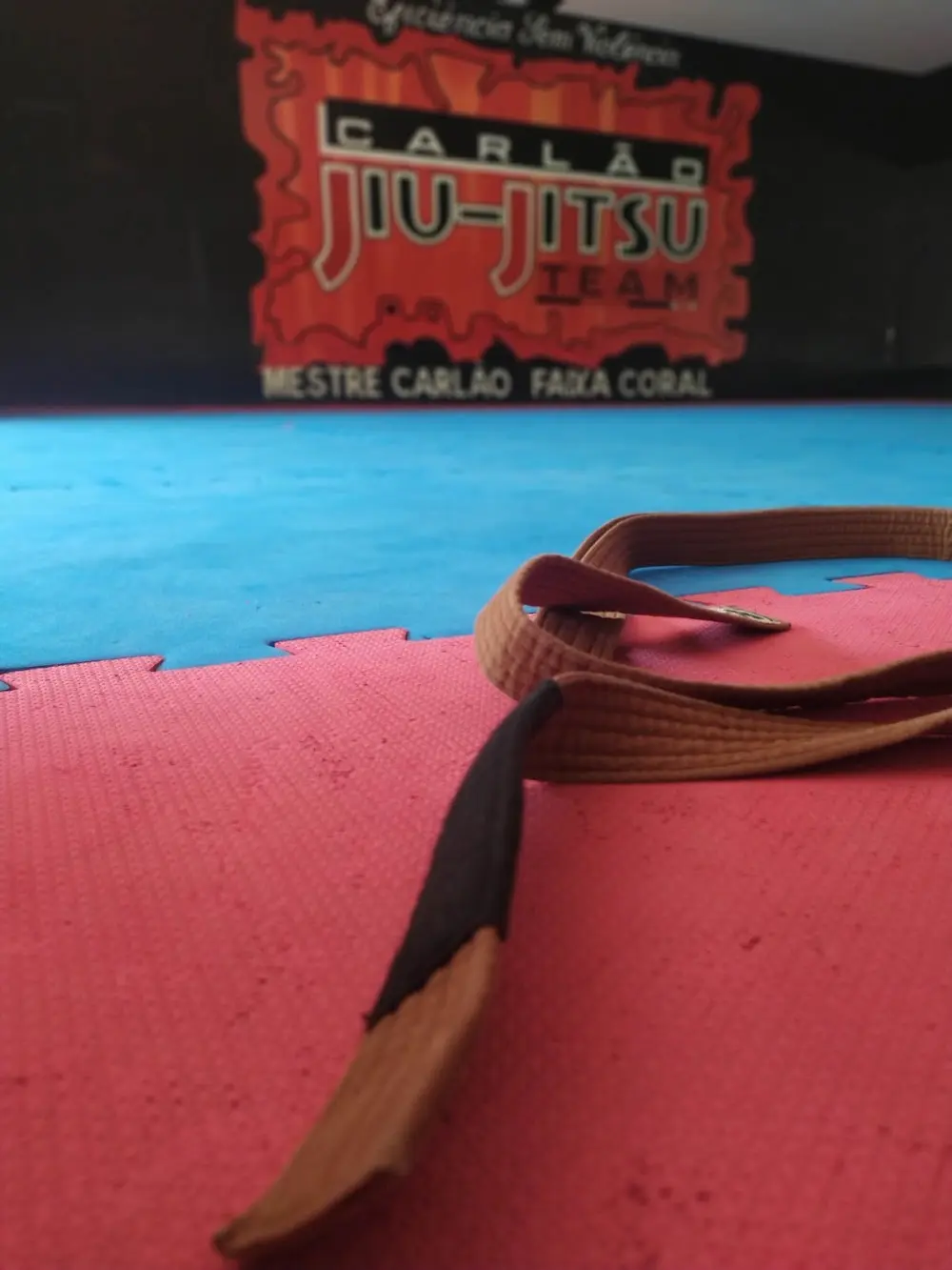 Carlão Jiu-Jitsu Team