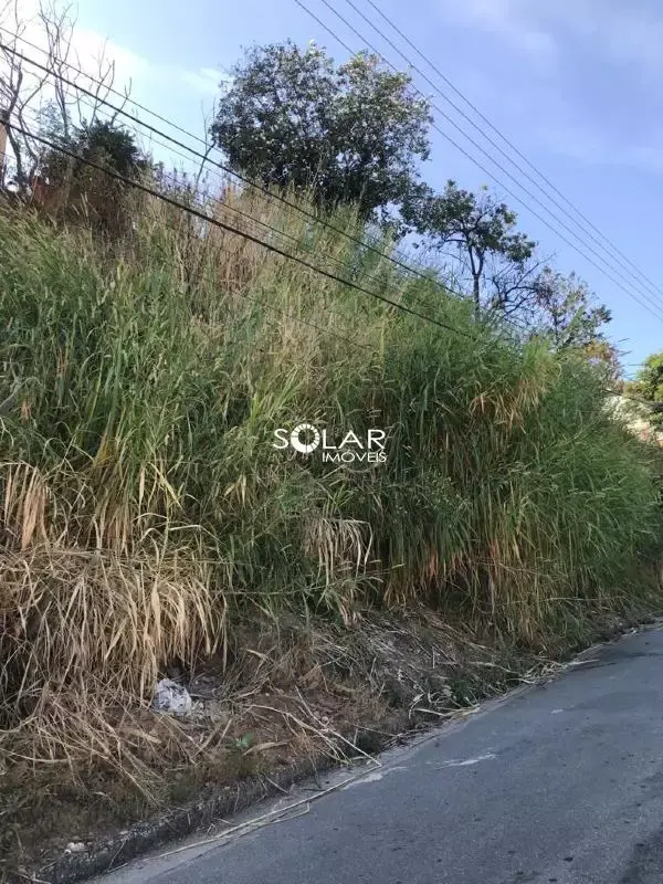Lote à venda no Centro com 240 m²