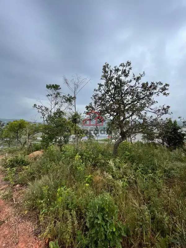 Lote 1000 m² à venda na Barragem do Benfica