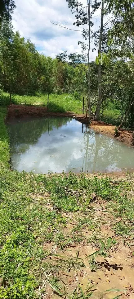 Chácara 2 quartos – 2000 m² à venda