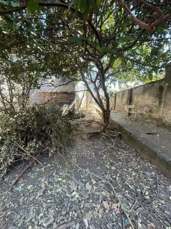 Lote à venda, Graças