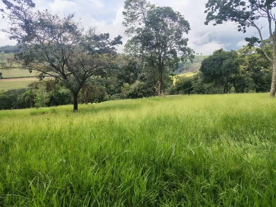 Fazenda 78 hectares à venda