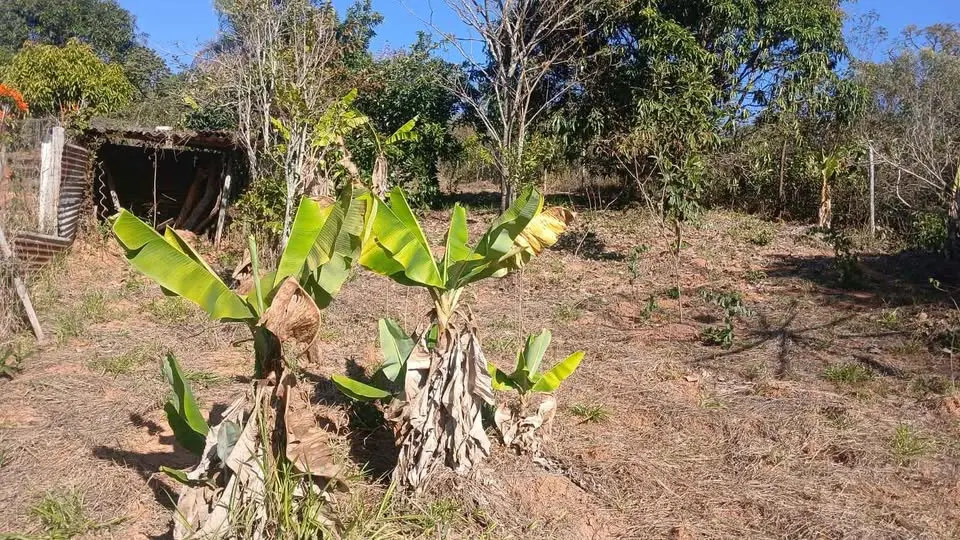Chácara 1700 m² com piscina e pomar à venda no Povoado dos Chaves
