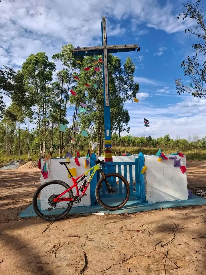 Quadro oggi cattura pro t20 Shock fox kaschima Tamanho M 17