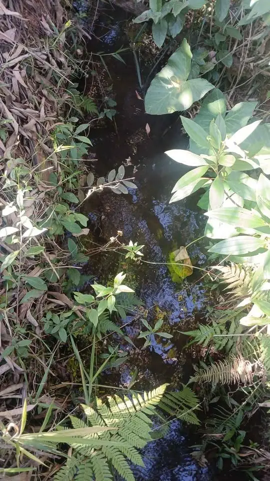 Chácara 1700 m² com água corrente à venda no Povoado dos Chaves