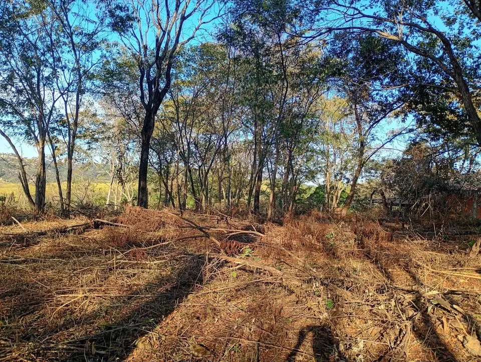 Chácara à venda no Vale dos Ipês – 5000 m²