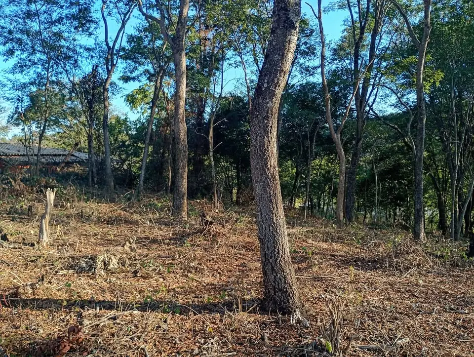 Chácara à venda no Vale dos Ipês – 5000 m²