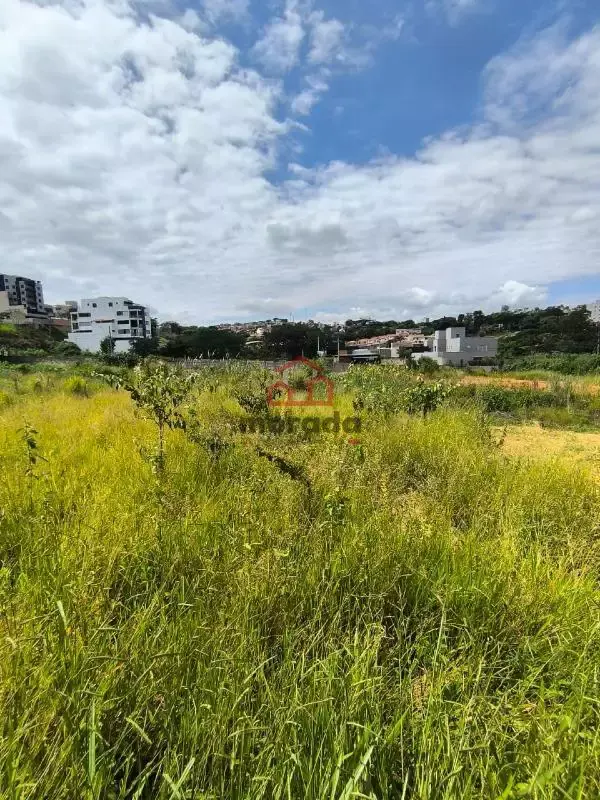 Lote à venda, TROPICAL