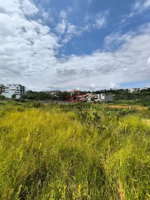 Lote à venda, TROPICAL