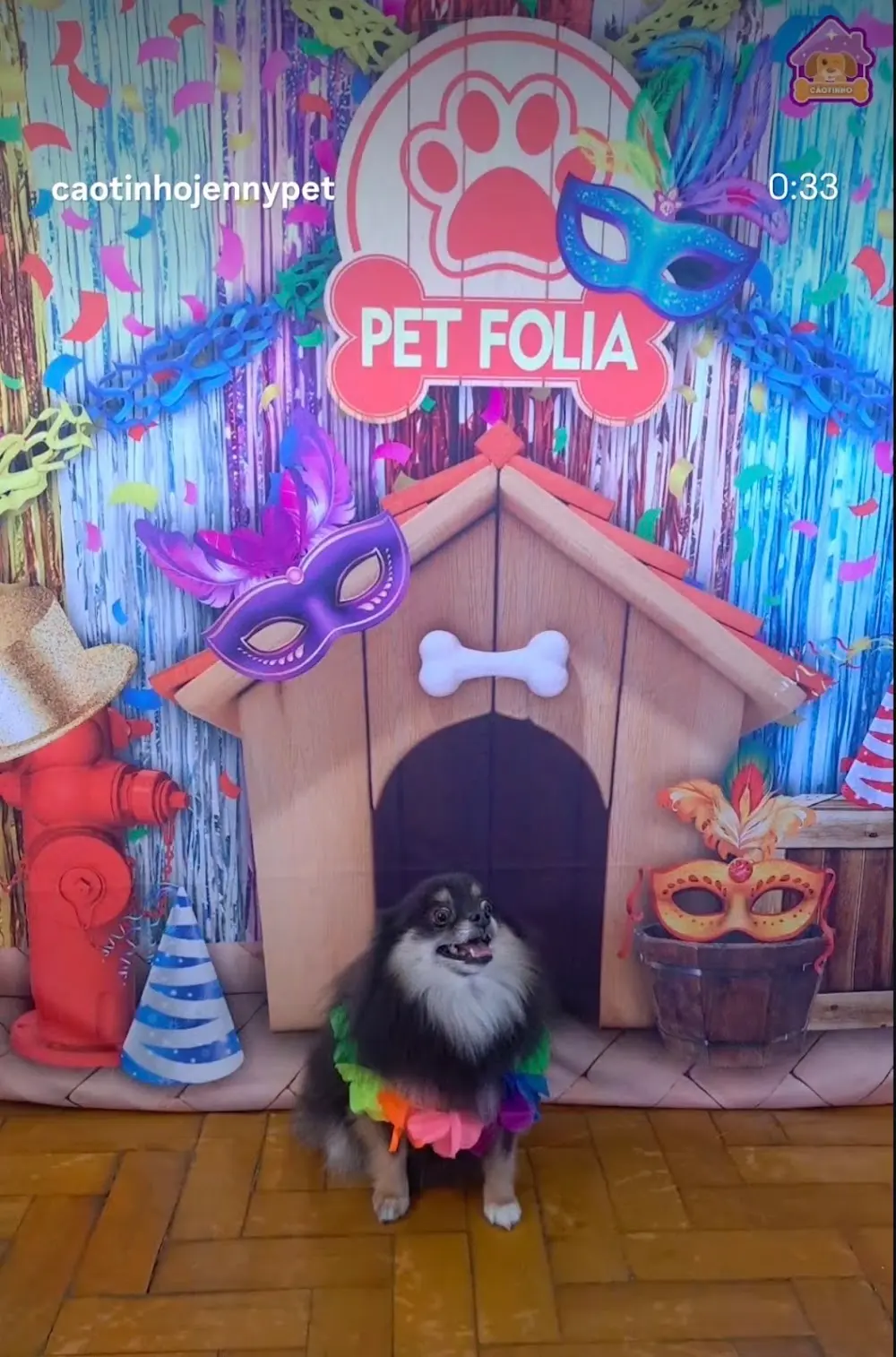 CÃOtinho Jenny Pet