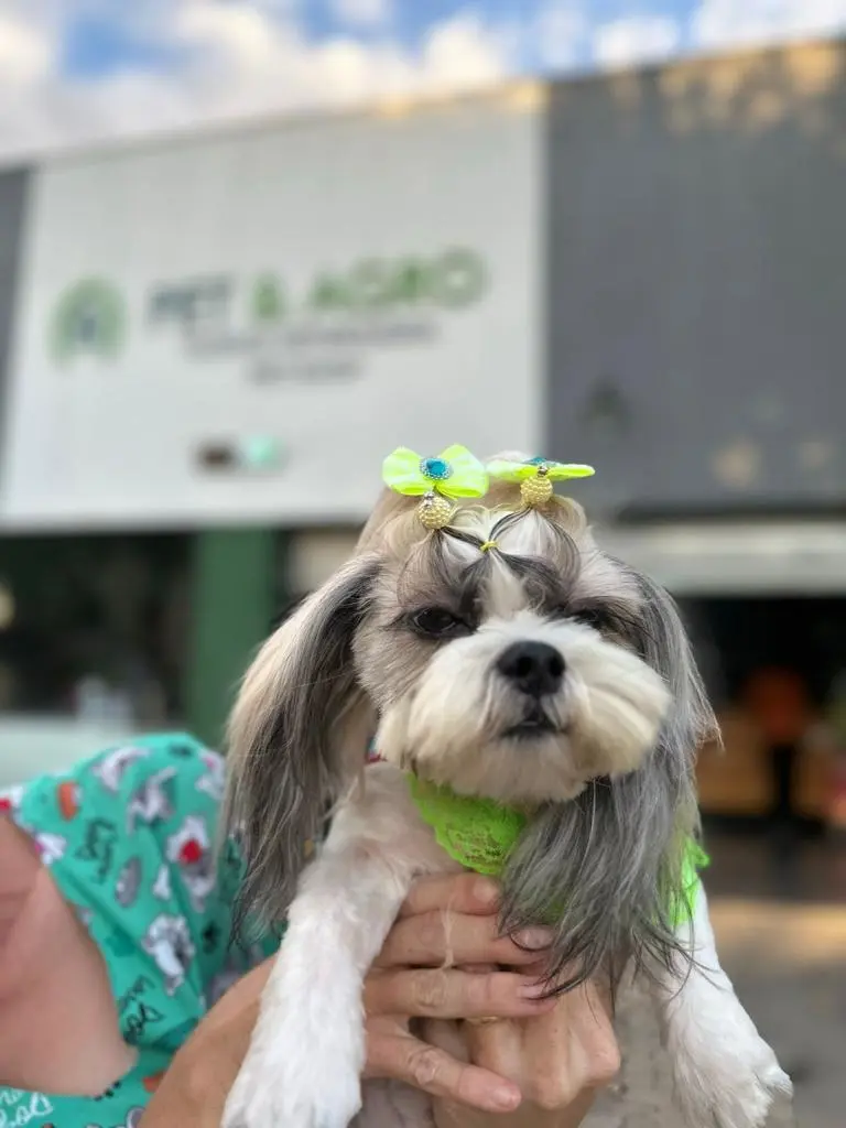Clínica Veterinária Pet & Agro Itaúna