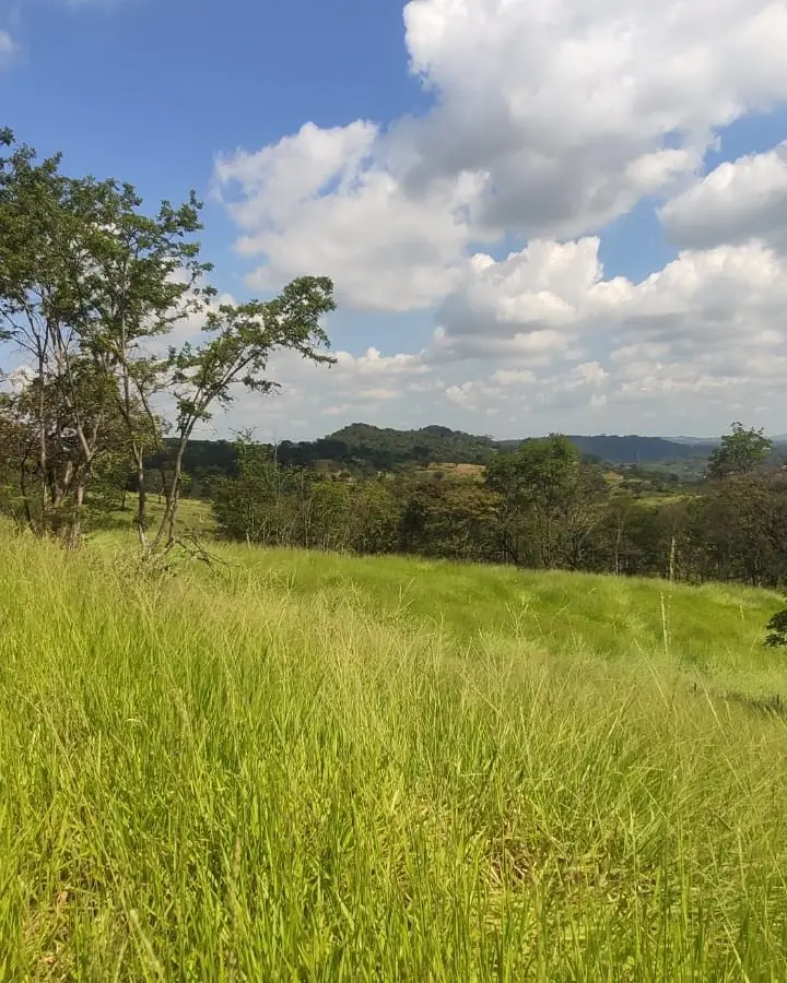 Terreno 33.990 m² à venda no Bairro Vale das Aroeiras