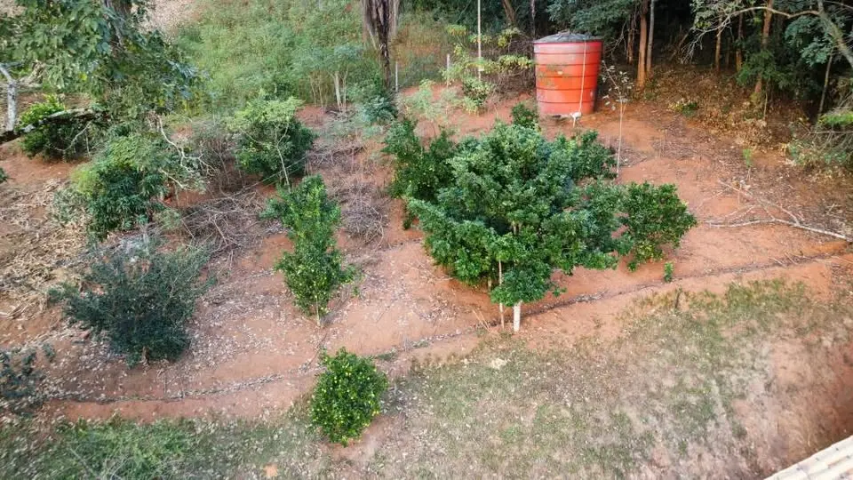 Sítio 4.500 m² à venda em condomínio, Itatiaiuçu