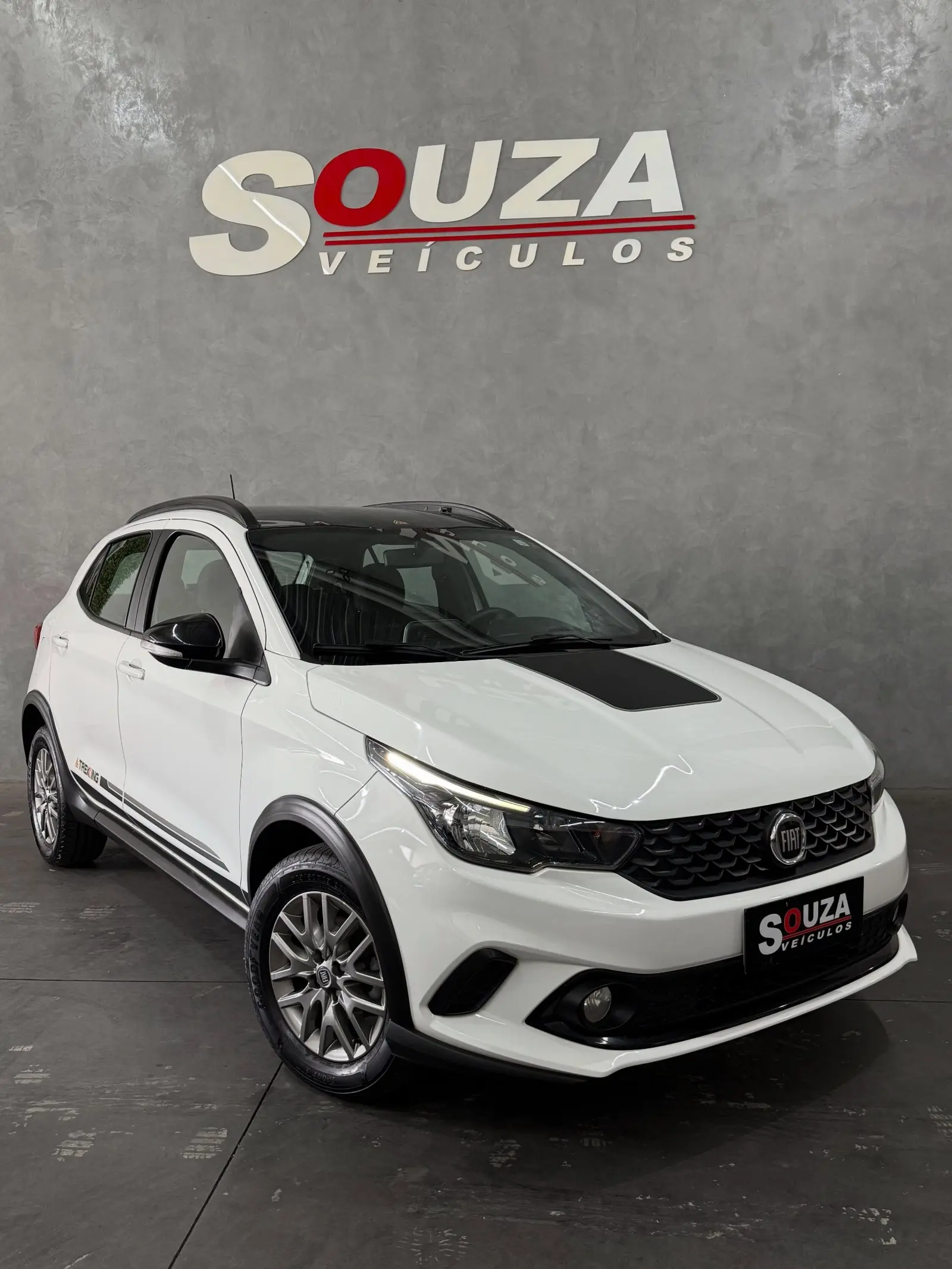 Fiat Argo Trekking 2020 1.3 Manual - 53.000 km