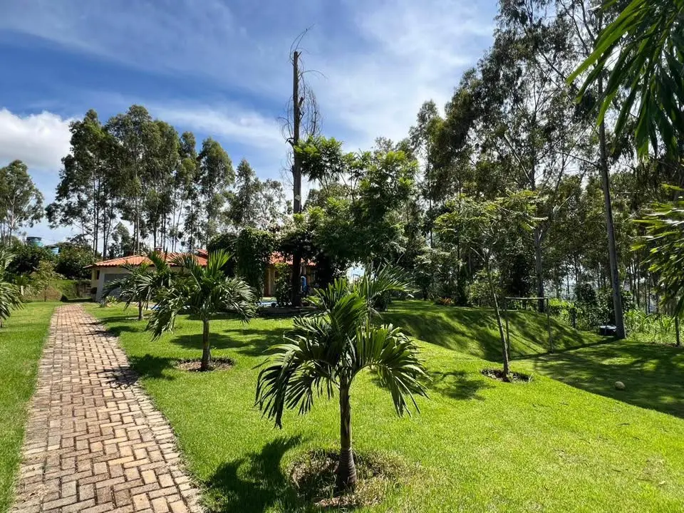 Sítio 2.170 m² à venda em Mateus Leme