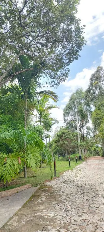 Chácara com 4 quartos, piscina, sauna e área gourmet