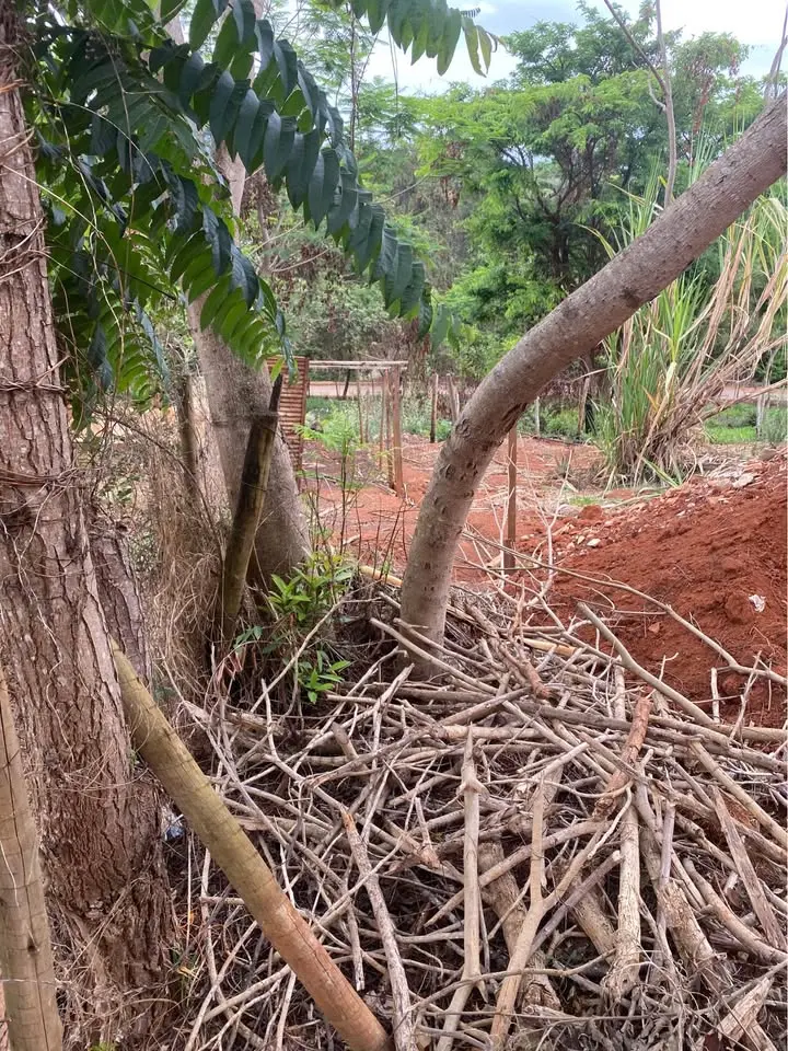Casa à venda com 3 quartos, sendo uma suíte
