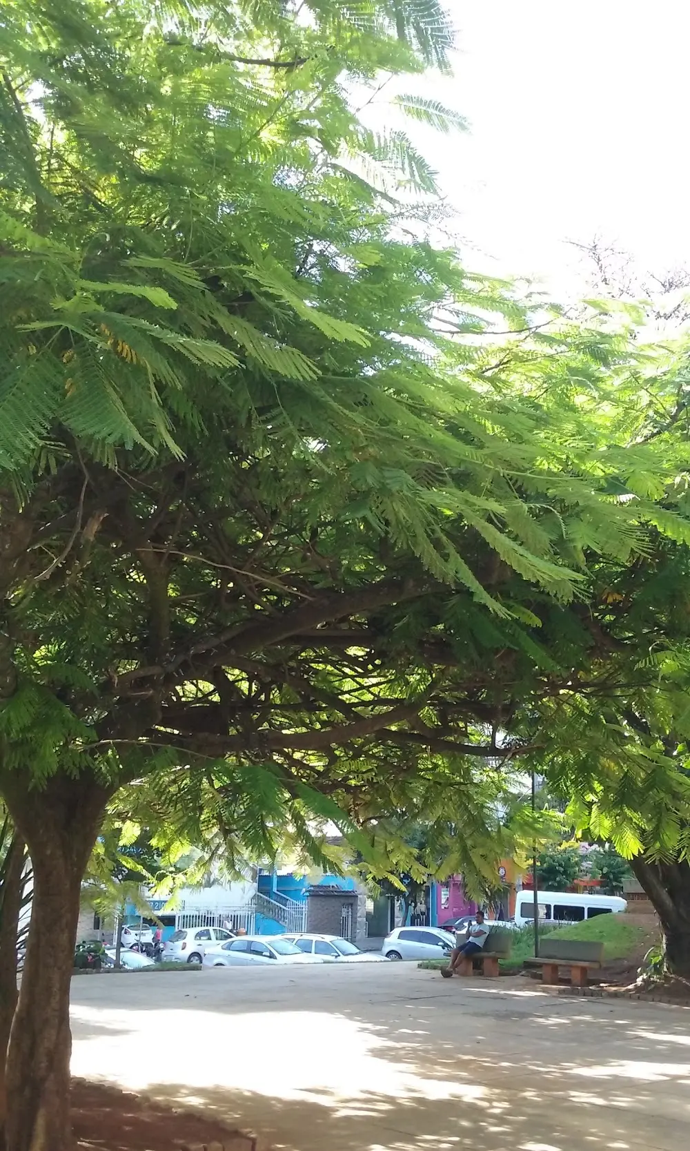 SUPERMERCADOS R.A