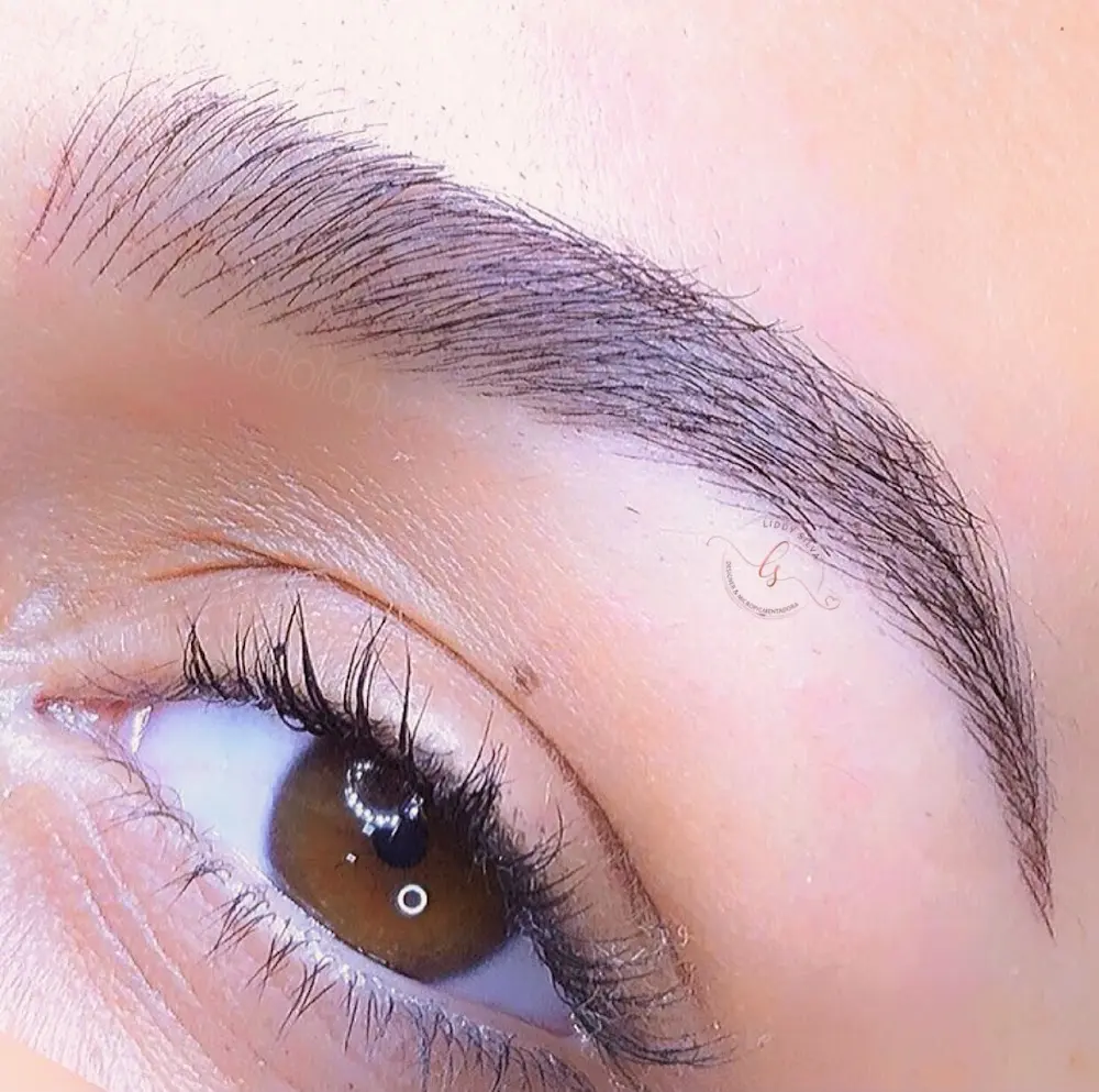 Liddy Silva Beauty Clinic microblading fio a fio, micropigmentação labial, sobrancelhas fio a fio, micropigmentação Itaúna