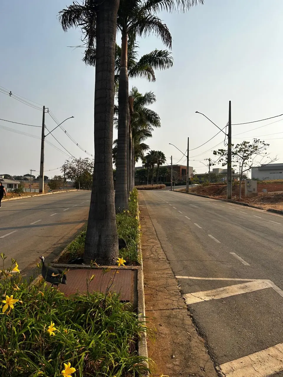 Dois lotes à venda no Condomínio Mont Vert