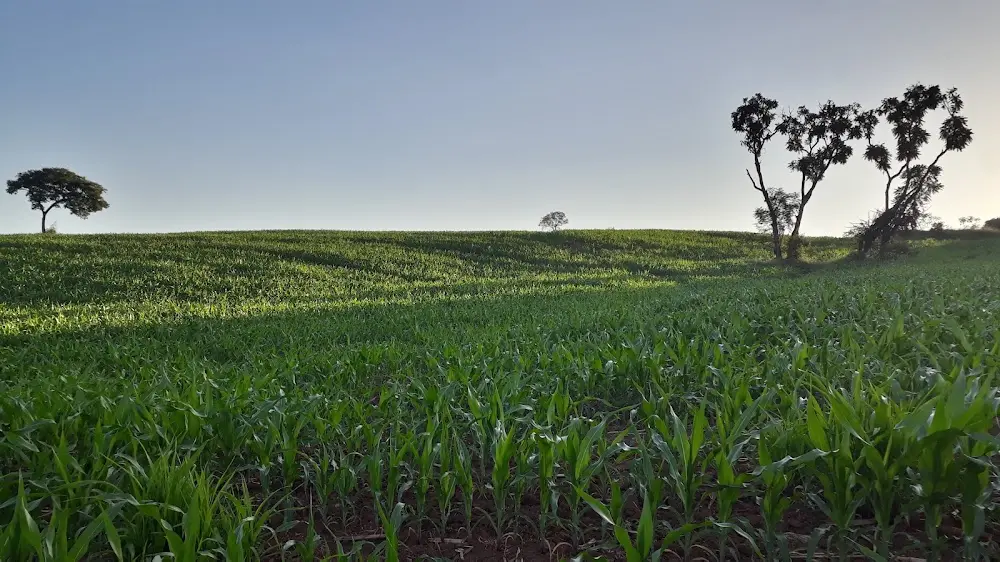 Fazenda Brejo Alegre